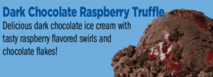 Ice Cream Emergency Event Package Dark Chocolate Raspberry Truffle